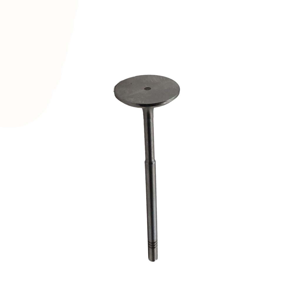 Intake Valve Apply to Benz W270 Engine(8PCS/Set)   OE  270 053 0001