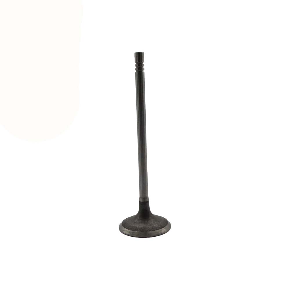 Intake Valve Apply to Bmw N12 Engine(8PCS/Set)   OE  1134 7533 884