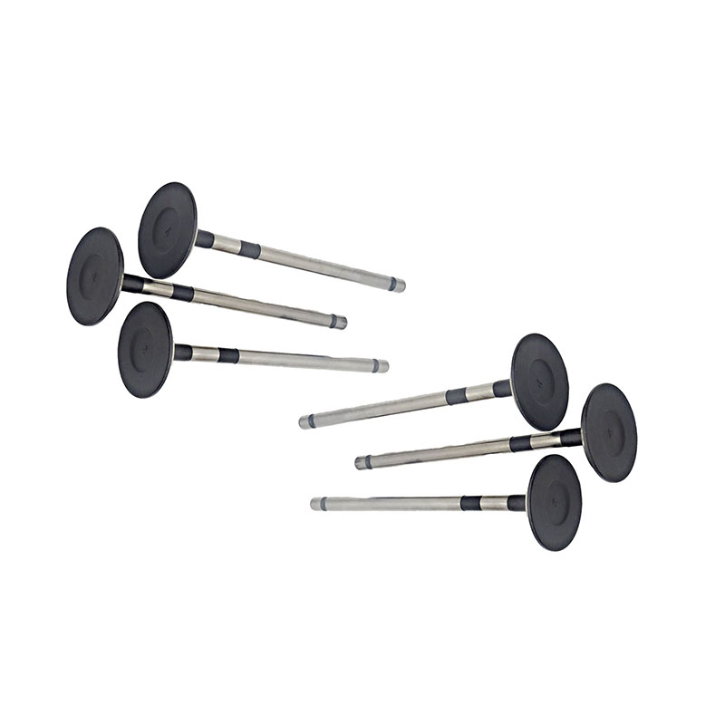 Suitable for Toyota Land Cruiser Prado(2TR 2.7L) 2004-2015 Exhaust Valve（8PCS）