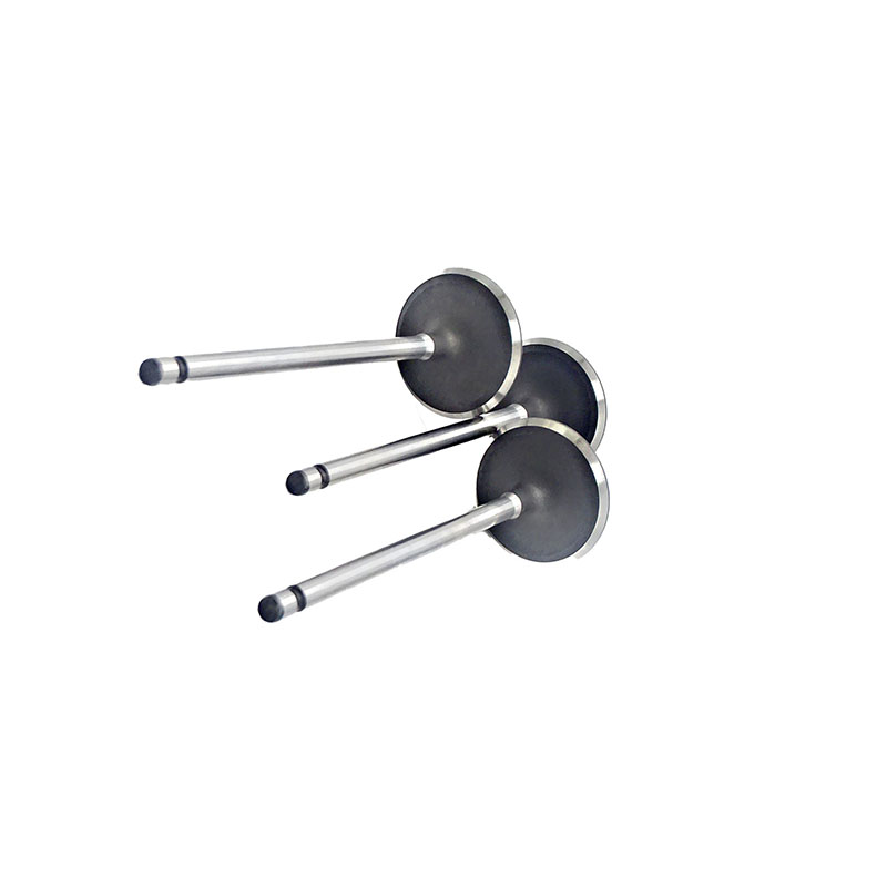 Suitable for Toyota Land Cruiser Prado(2TR 2.7L) 2004-2015 Intake Valve （8PCS）