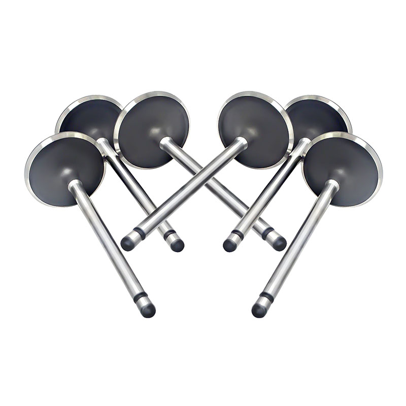 Suitable for Toyota Land Cruiser Prado(2TR 2.7L) 2004-2015 Intake Valve （8PCS）