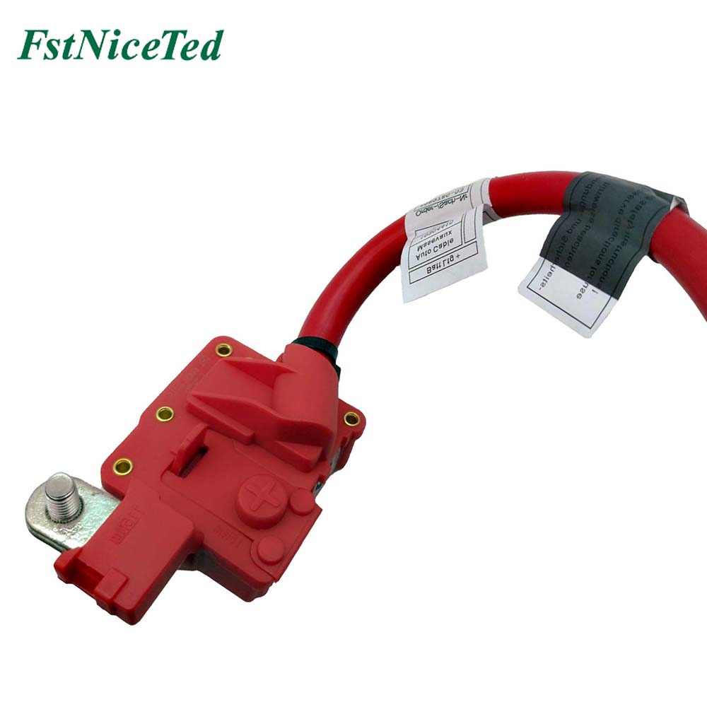 Battery Cable Apply to Bmw 5 E60 2002-2009   OE  6112 6989 780