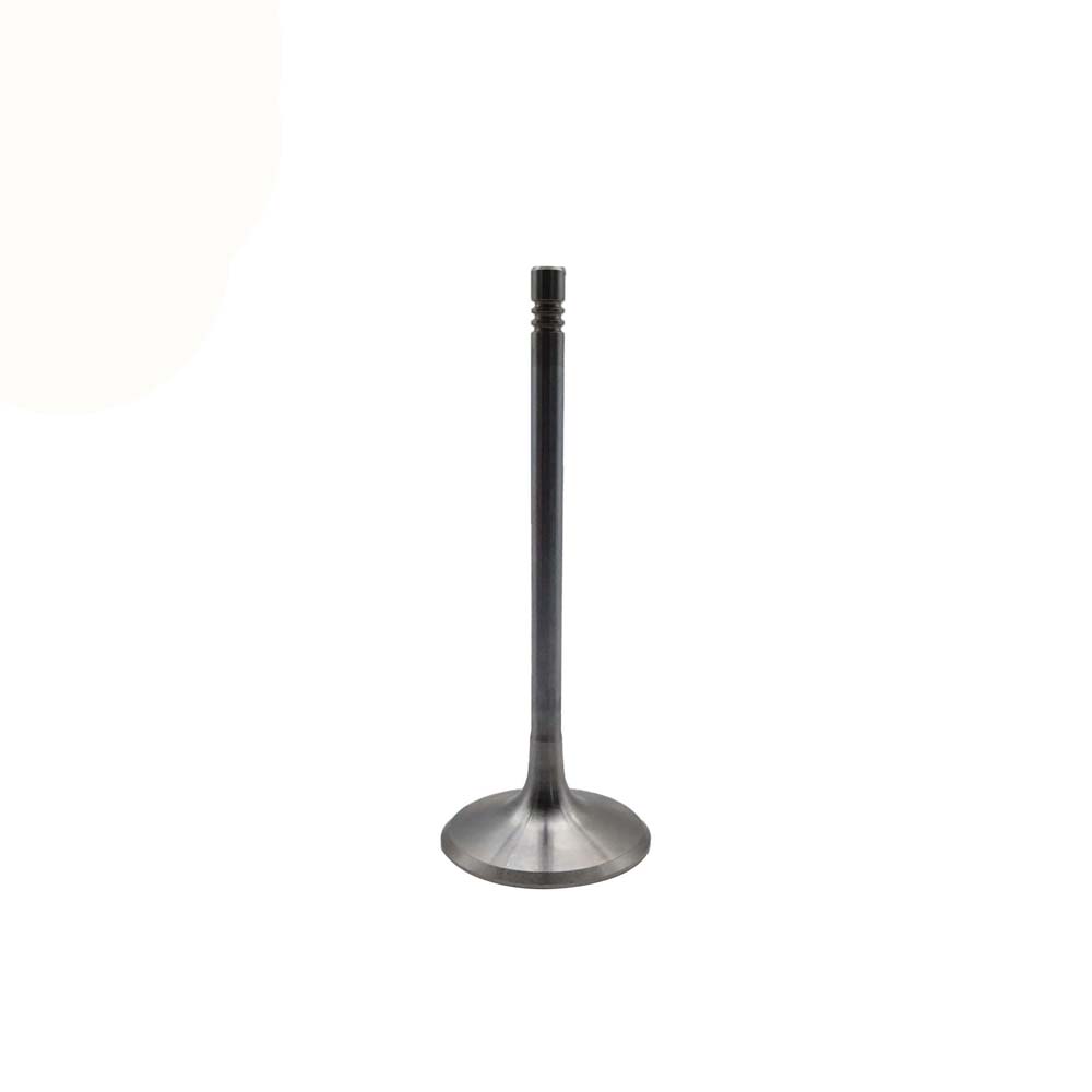 Intake Valve Apply to Benz W273 Engine(8PCS/Set)   OE  273 050 0326