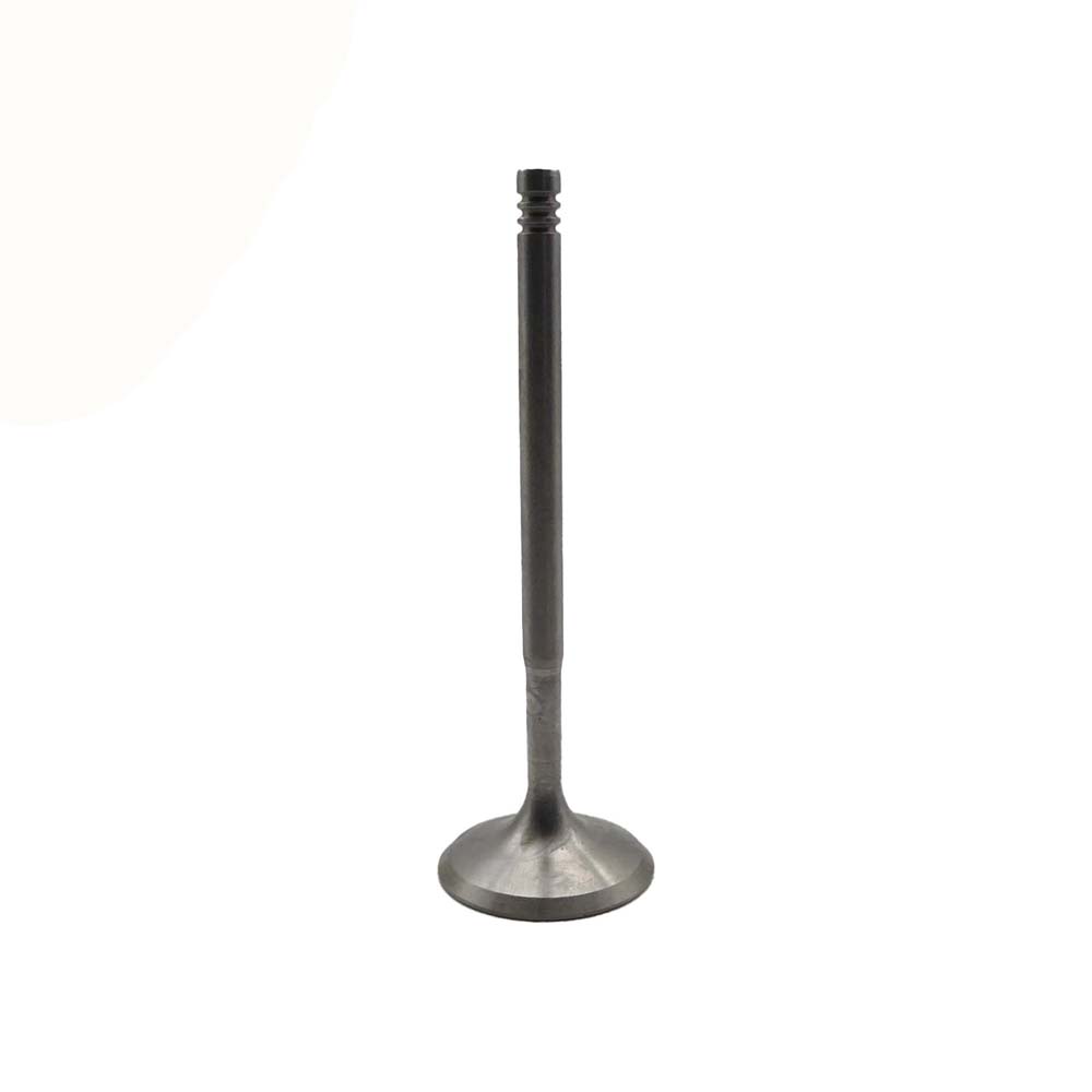 Intake Valve Apply to Bmw N46 Engine(8PCS/Set)   OE  1134 1440 304