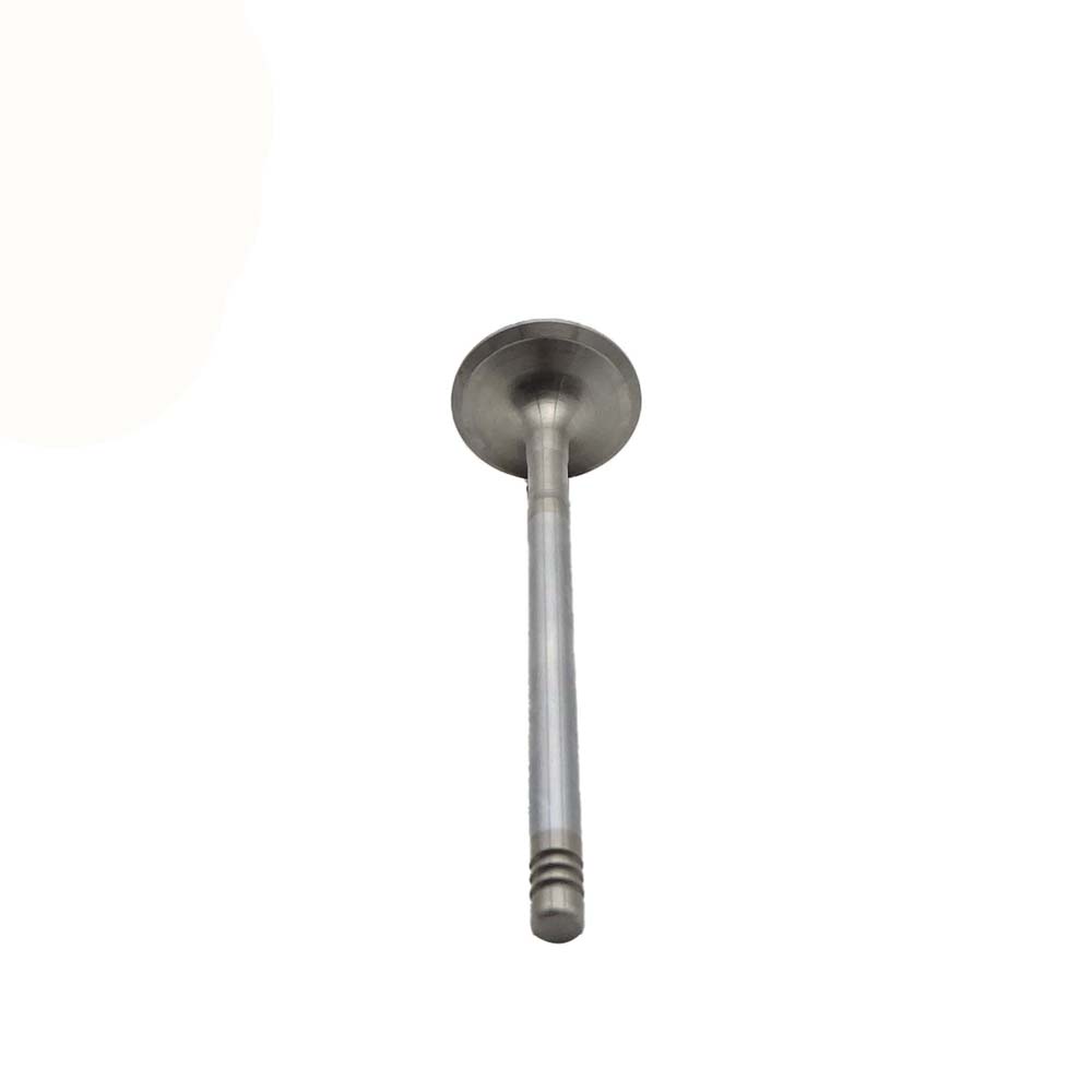 Exhaust Valve Apply to Bmw N46 Engine(8PCS/Set)   OE  1134 1707 519