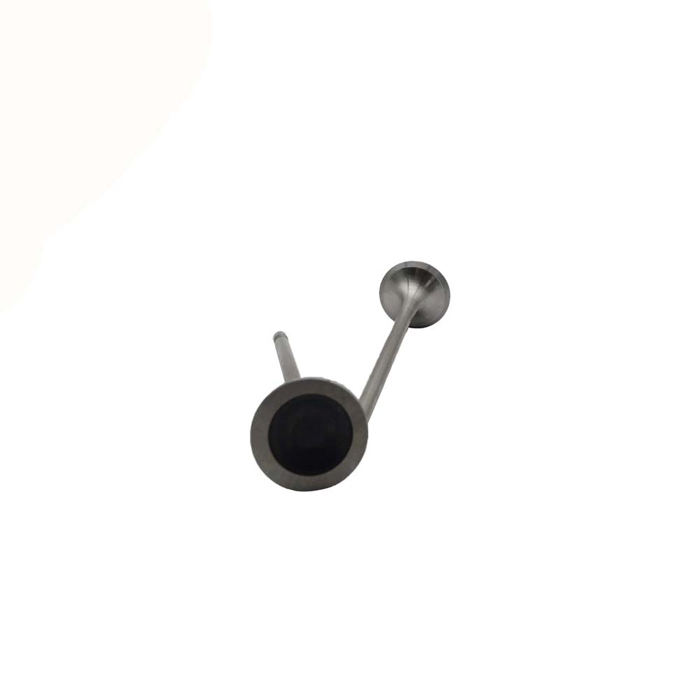 Exhaust Valve Apply to Bmw N14 Engine(8PCS/Set)   OE  1134 7547 187