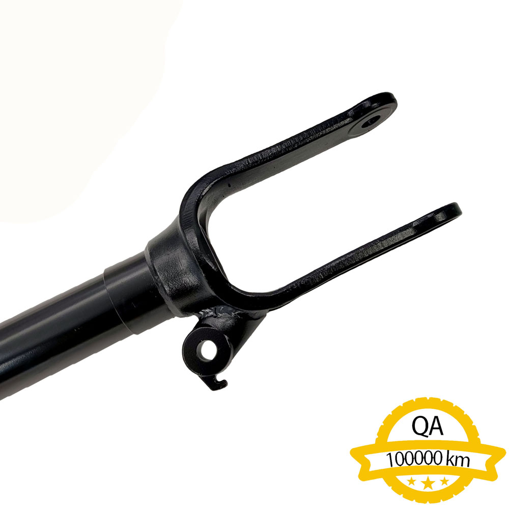 Shock Absorber Apply to Benz W251 2006-2019   OE  251 320 0730