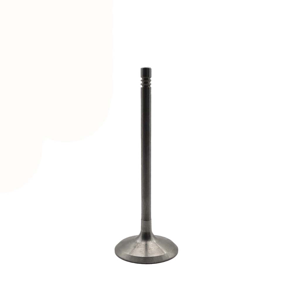 Intake Valve Apply to Benz W272 3.5L Engine(8PCS/Set)   OE  272 053 0501