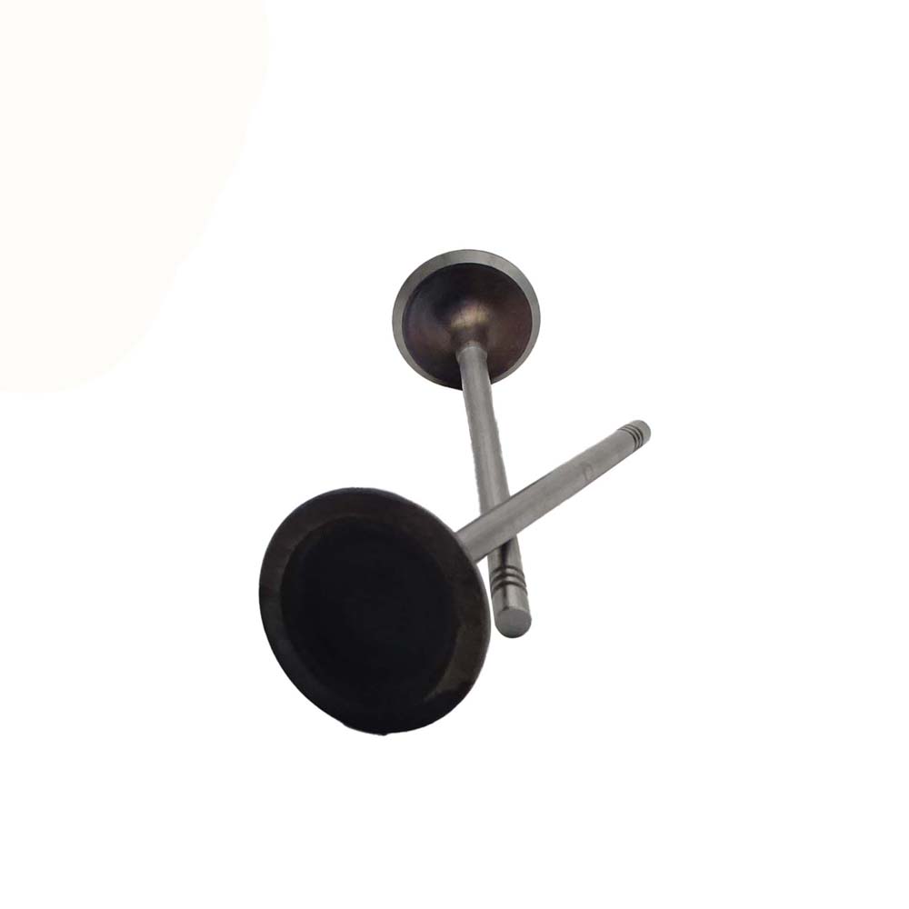 Intake Valve Apply to Bmw N14 Engine(8PCS/Set)   OE  1134 7534 508