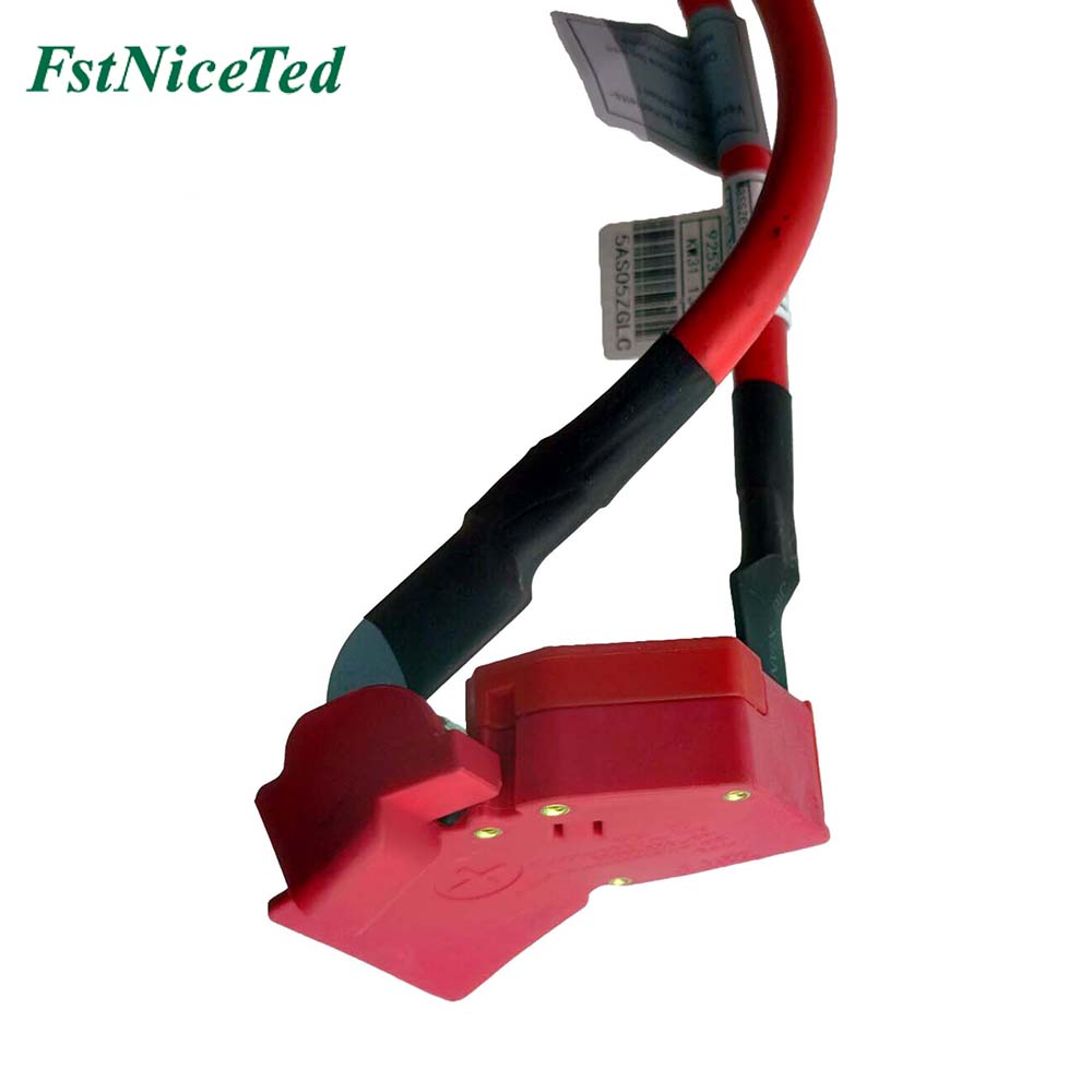 Battery Cable Apply to Bmw 1 F20 2011-2015 Bmw 3 F30 2012-2015   OE  6112 9253 111