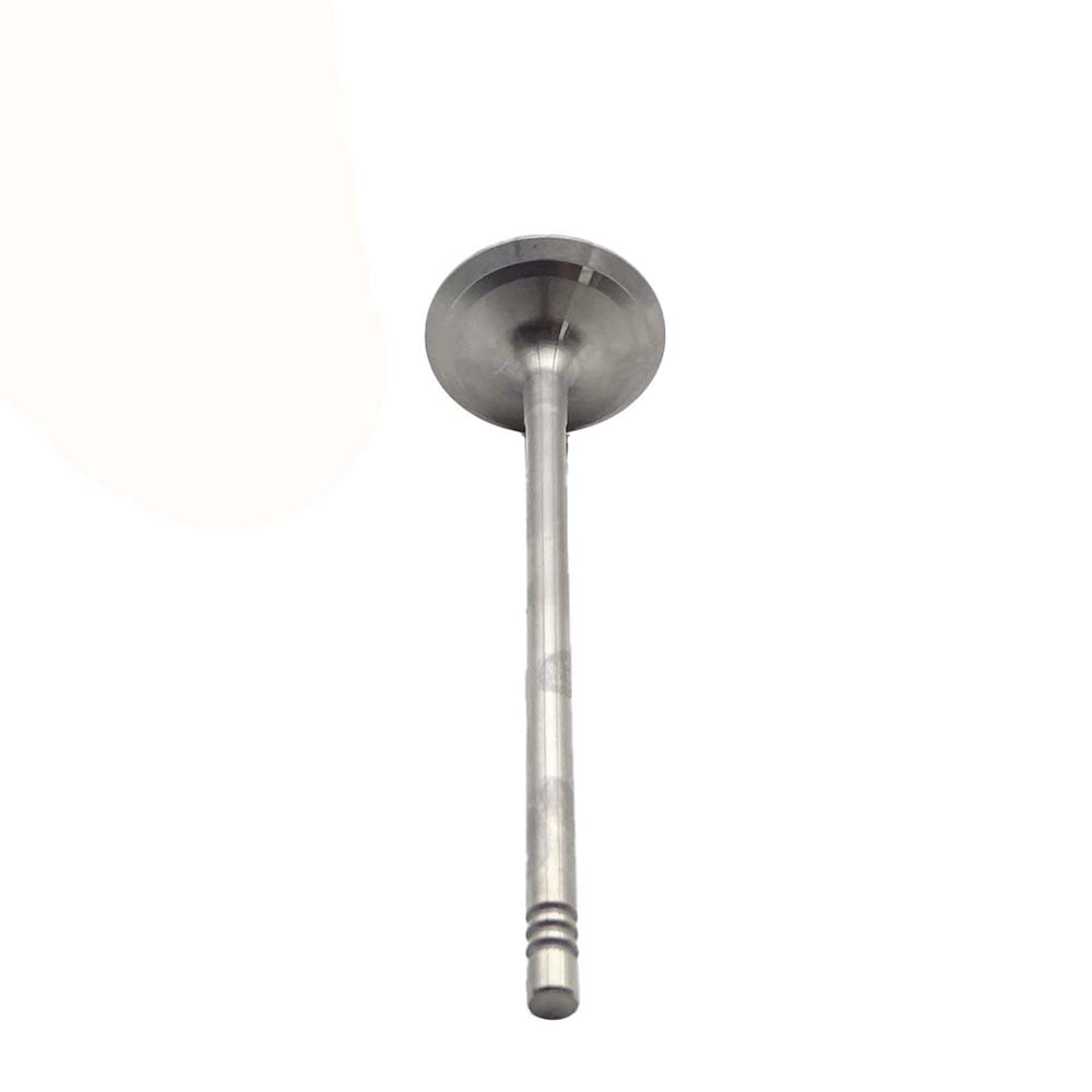 Intake Valve Apply to Bmw N52 B25 Engine(8PCS/Set)   OE  1134 7539 919