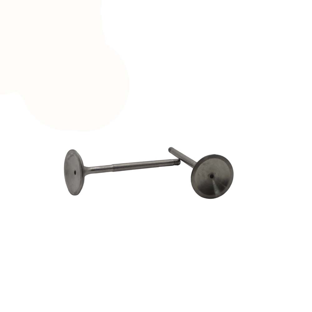 Intake Valve Apply to Bmw N46 Engine(8PCS/Set)   OE  1134 1440 304