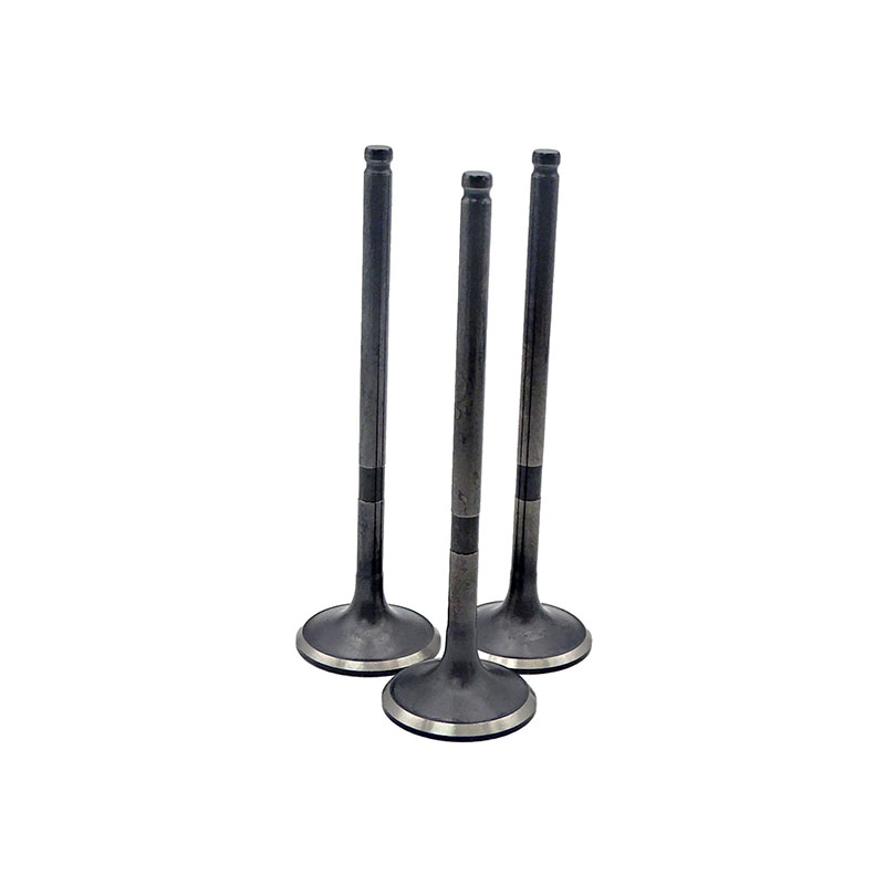 Suitable for Toyota Camry(2.4L) 2002-2011) Highlander(2.4L) 2002-2007 Solara(2.4L) 2002-2006 RAV4(2.4L) 2002-2005 Exhaust Valve （8PCS）