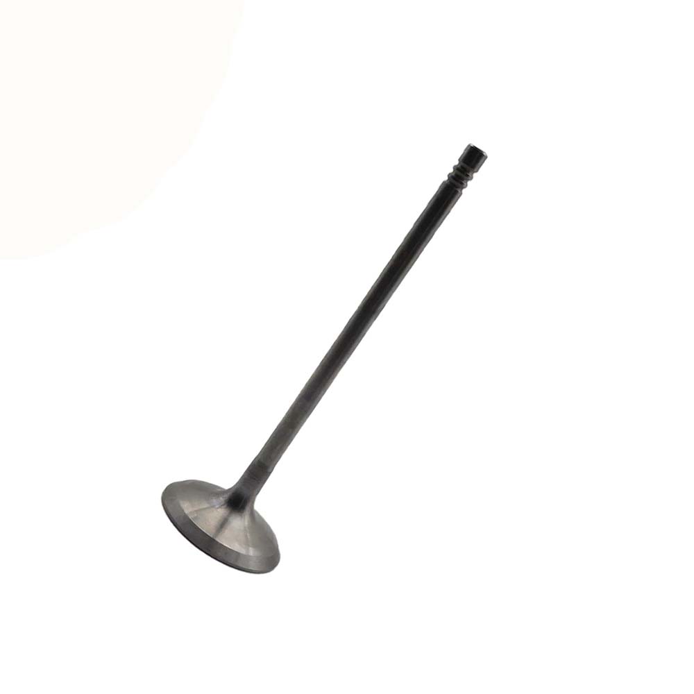 Intake Valve Apply to Bmw N52 B25 Engine(8PCS/Set)   OE  1134 7539 919