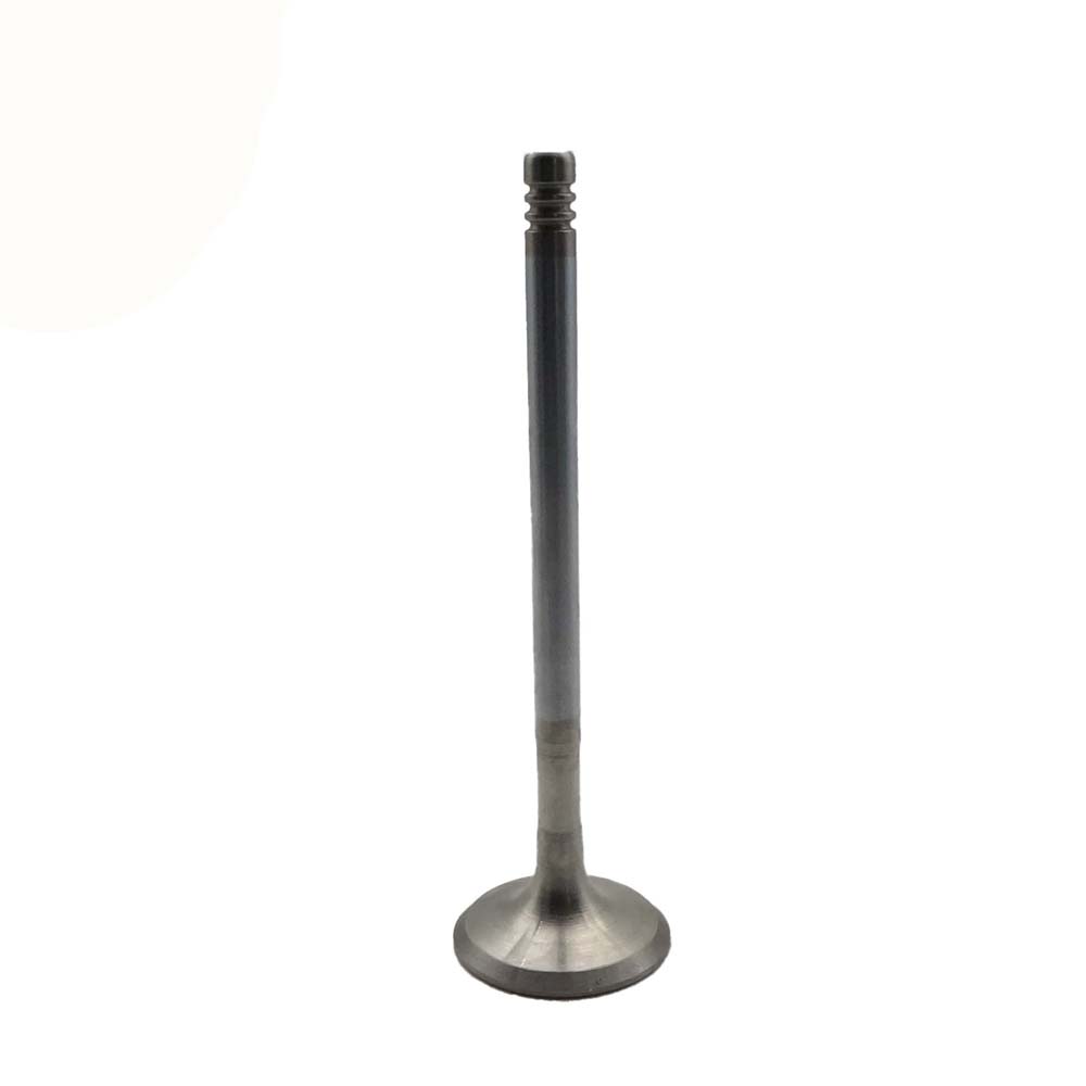 Exhaust Valve Apply to Bmw N46 Engine(8PCS/Set)   OE  1134 1707 519