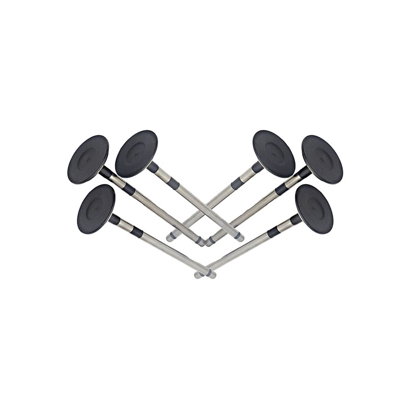Suitable for Toyota Land Cruiser Prado(2TR 2.7L) 2004-2015 Exhaust Valve（8PCS）