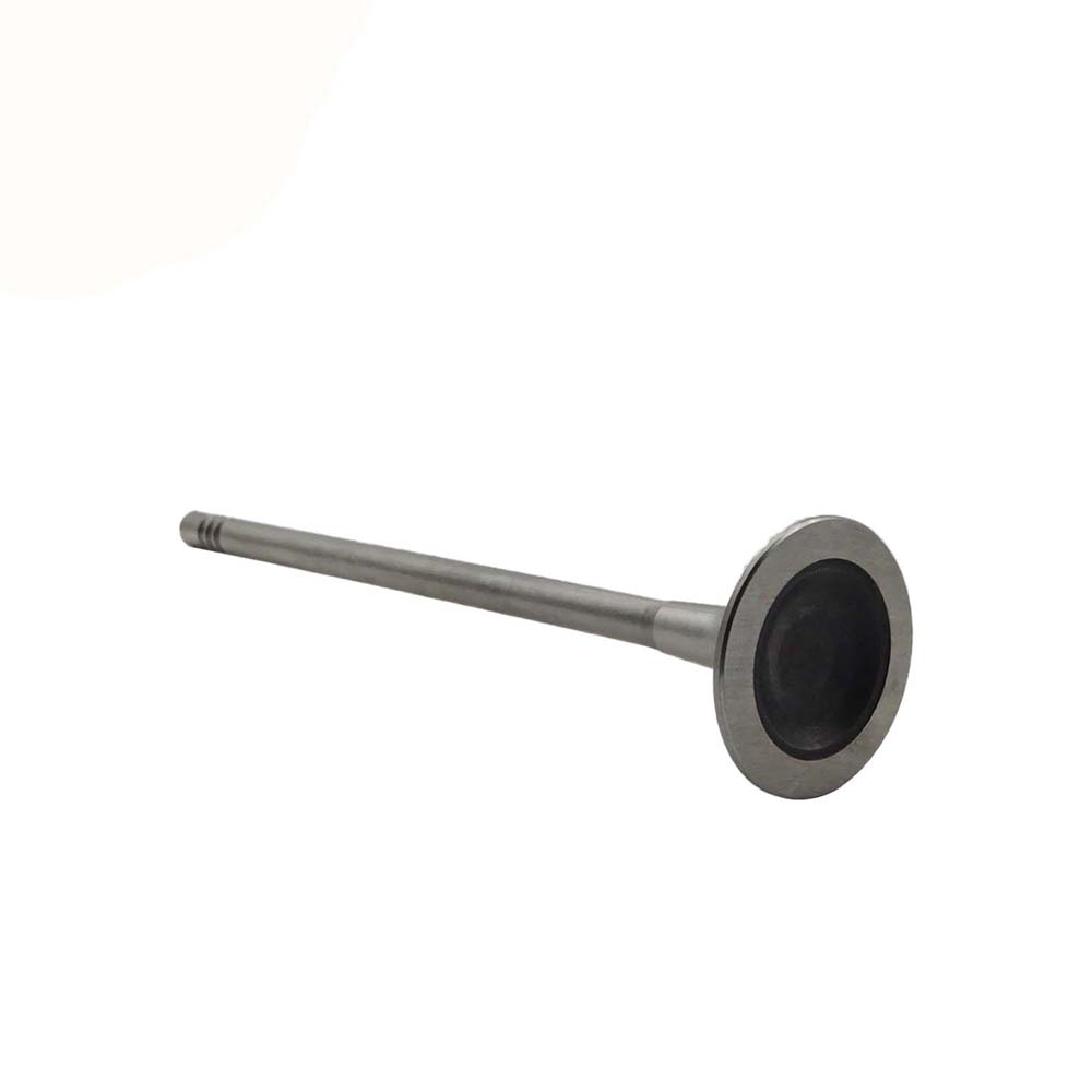 Exhaust Valve Apply to Bmw N14 Engine(8PCS/Set)   OE  1134 7547 187