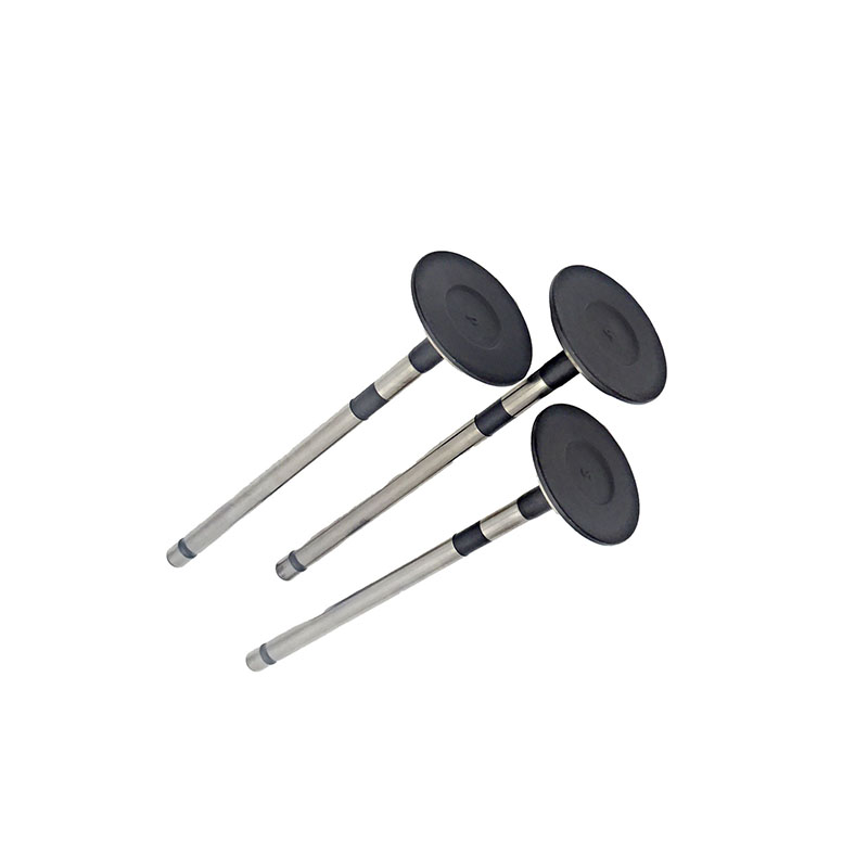 Suitable for Toyota Land Cruiser Prado(2TR 2.7L) 2004-2015 Exhaust Valve（8PCS）