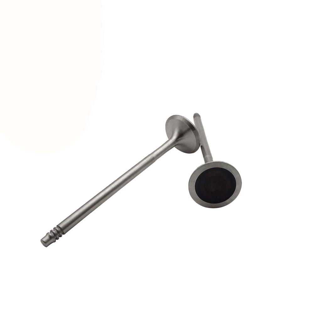 Exhaust Valve Apply to Bmw N52 Engine(8PCS/Set)   OE  1134 7553 772