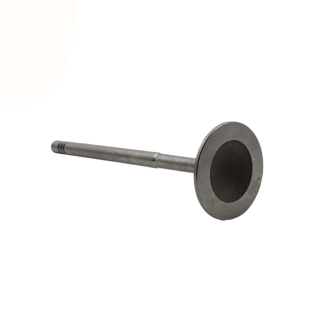 Intake Valve Apply to Benz W271(New) Engine(8PCS/Set)   OE  271 053 1001