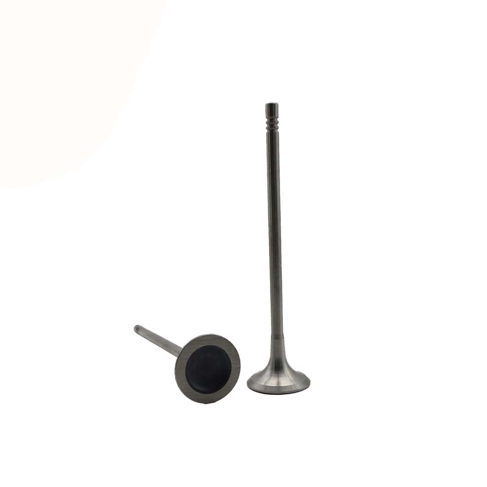 Exhaust Valve Apply to Bmw N14 Engine(8PCS/Set)   OE  1134 7547 187