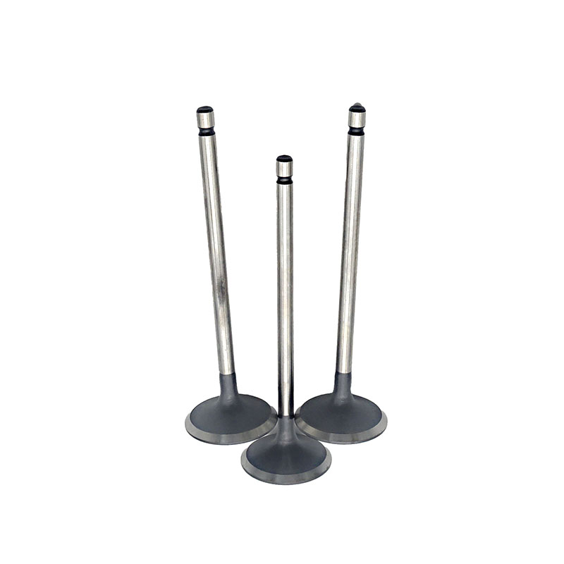 Suitable for Toyota Highlander(2GR 3.5L) 2009-2019 Tacoma Avalon Camry(3.5L) 2017-2019 Exhaust Valve （8PCS）