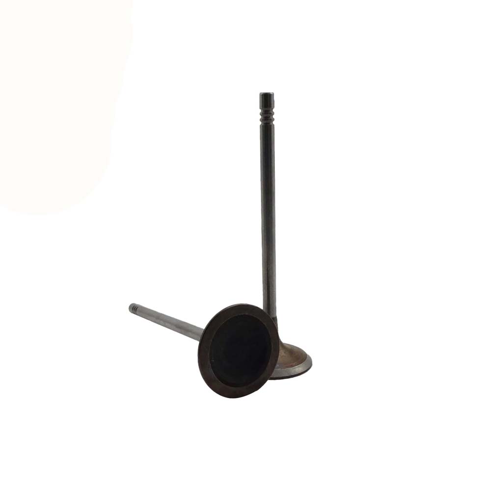 Intake Valve Apply to Bmw N13 Engine(8PCS/Set)   OE  1134 7585 901