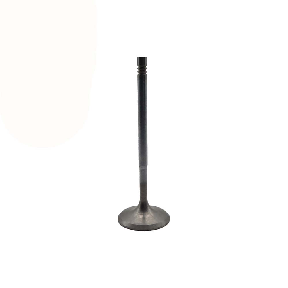 Intake Valve Apply to Benz W276 Engine(8PCS/Set)   OE  276 050 0026