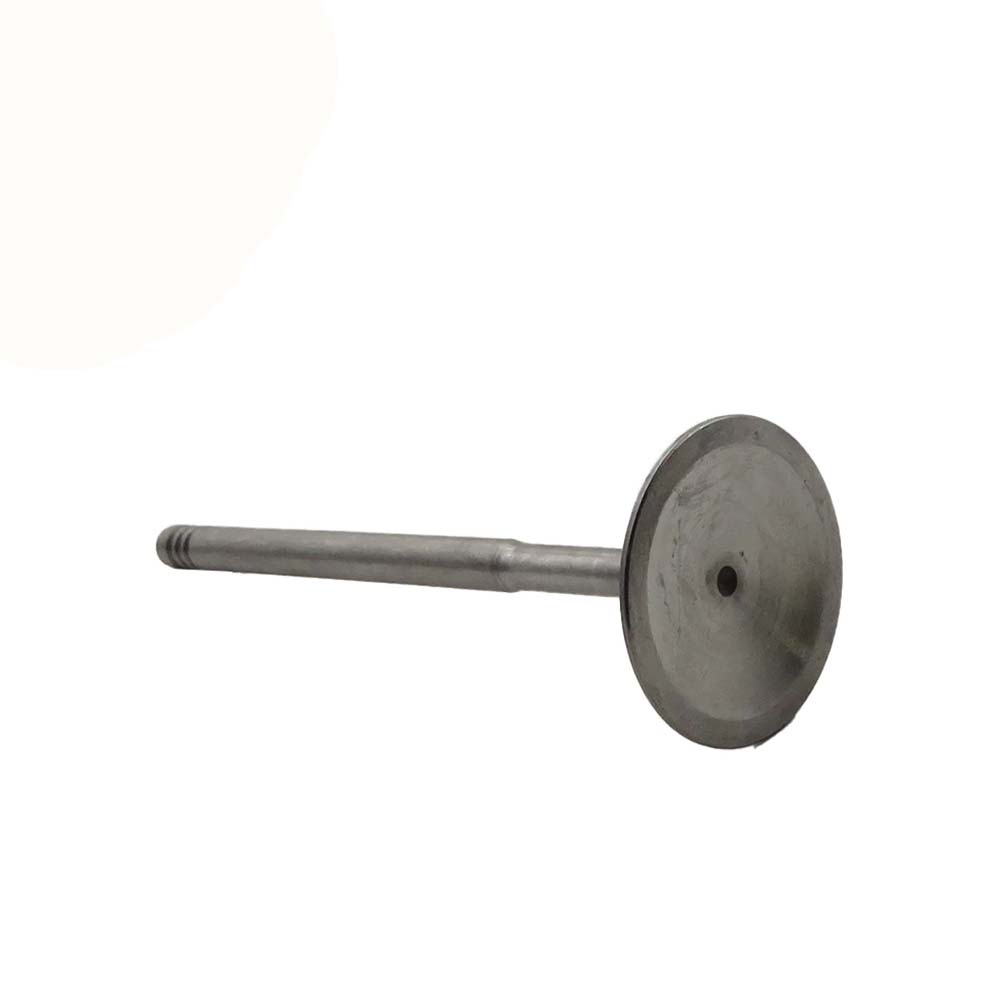 Intake Valve Apply to Bmw N46 Engine(8PCS/Set)   OE  1134 1440 304