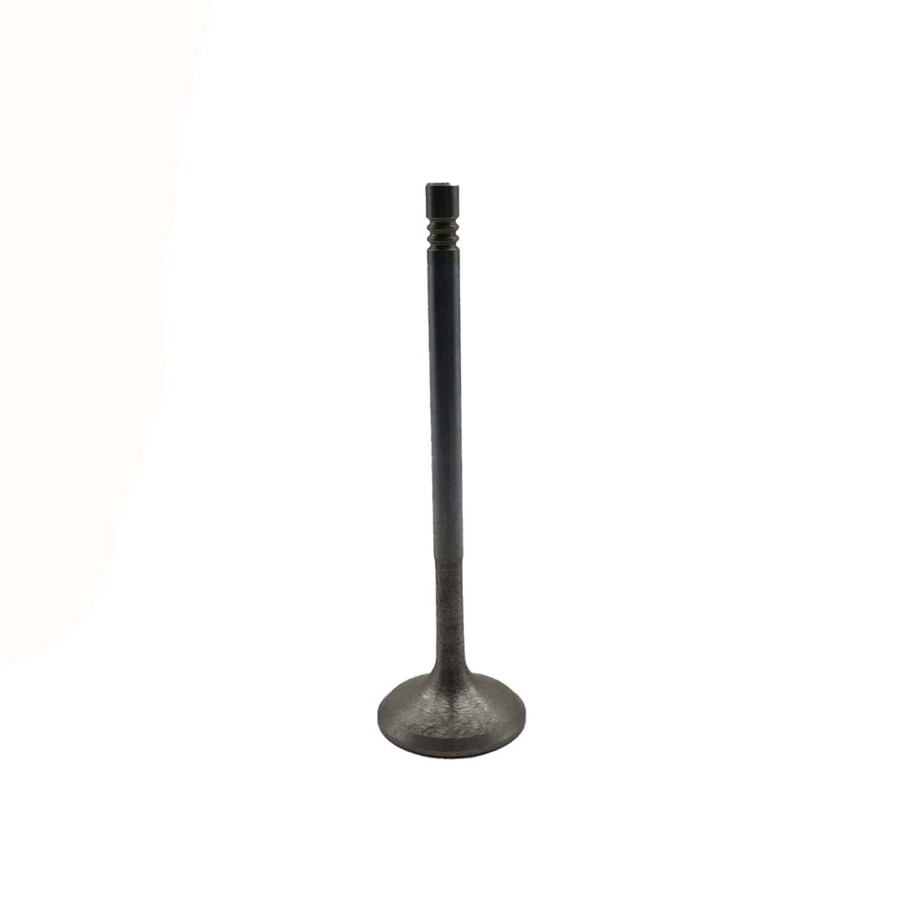 Intake Valve Apply to Benz W271(Old) Engine(8PCS/Set)   OE  271 053 0601