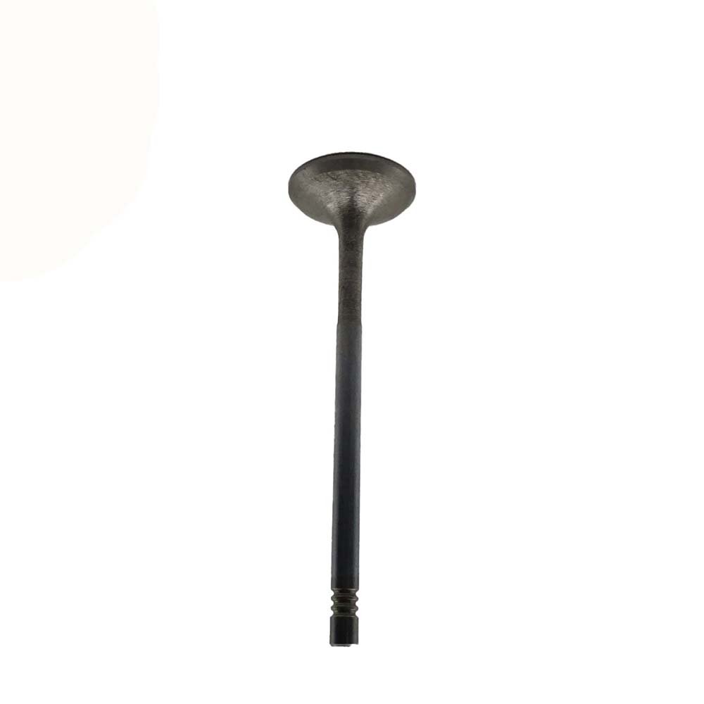 Intake Valve Apply to Benz W271(Old) Engine(8PCS/Set)   OE  271 053 0601