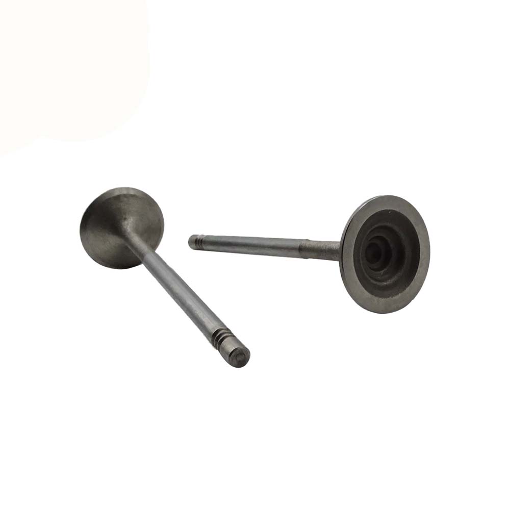 Intake Valve Apply to Benz W271(Old) Engine(8PCS/Set)   OE  271 053 0601