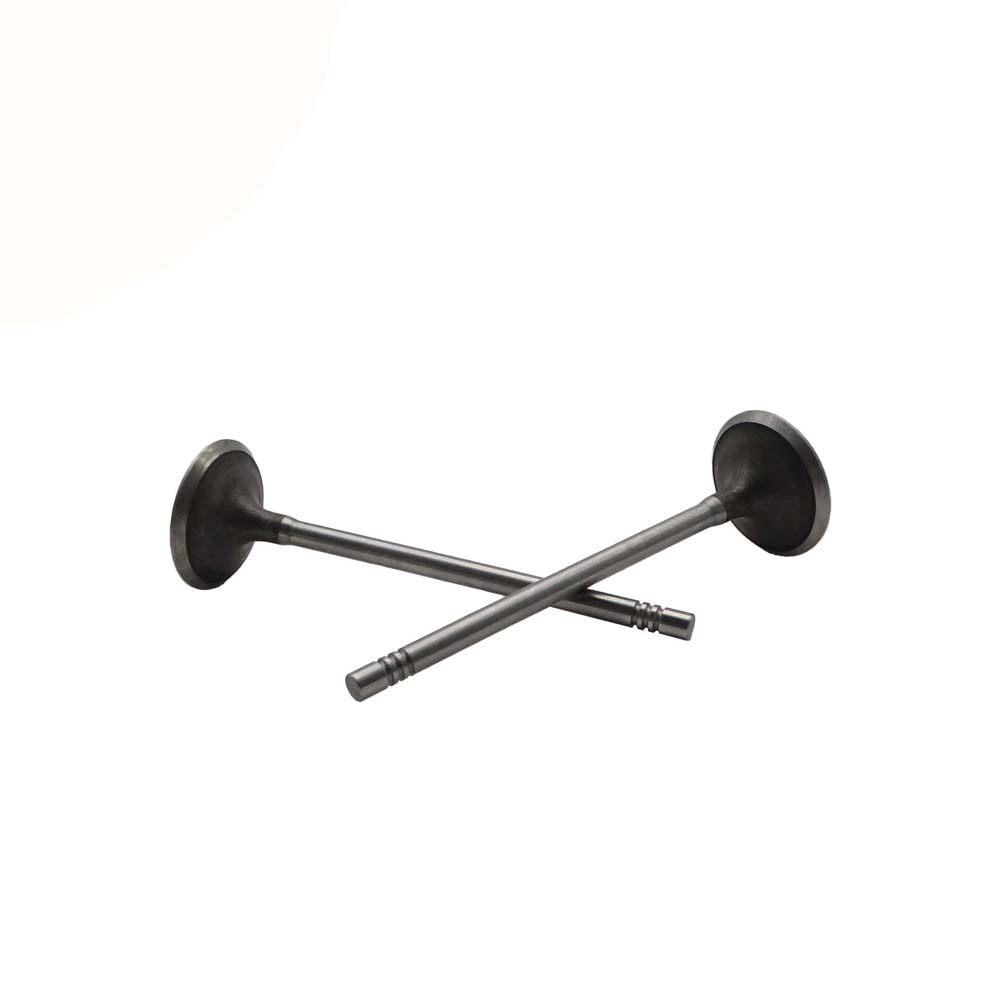 Intake Valve Apply to Bmw N12 Engine(8PCS/Set)   OE  1134 7533 884