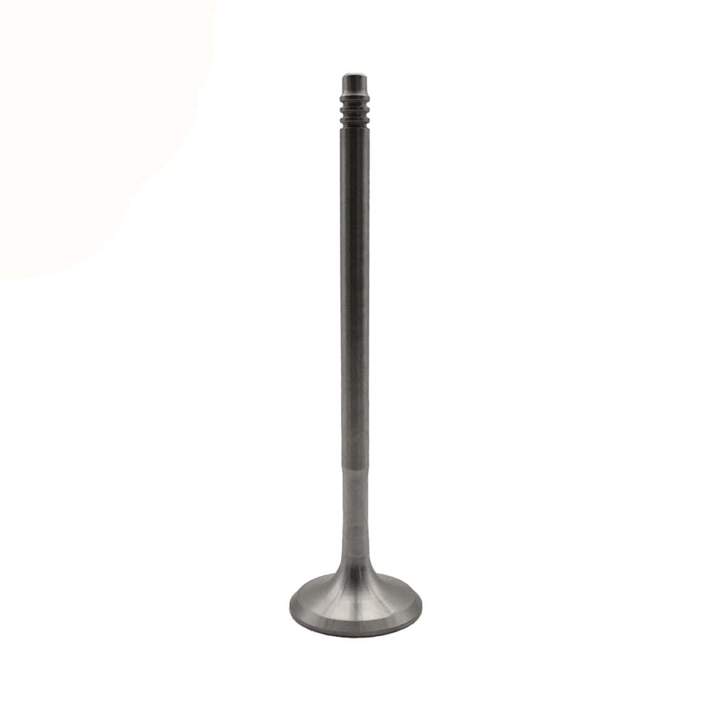 Exhaust Valve Apply to Bmw N52 Engine(8PCS/Set)   OE  1134 7553 772