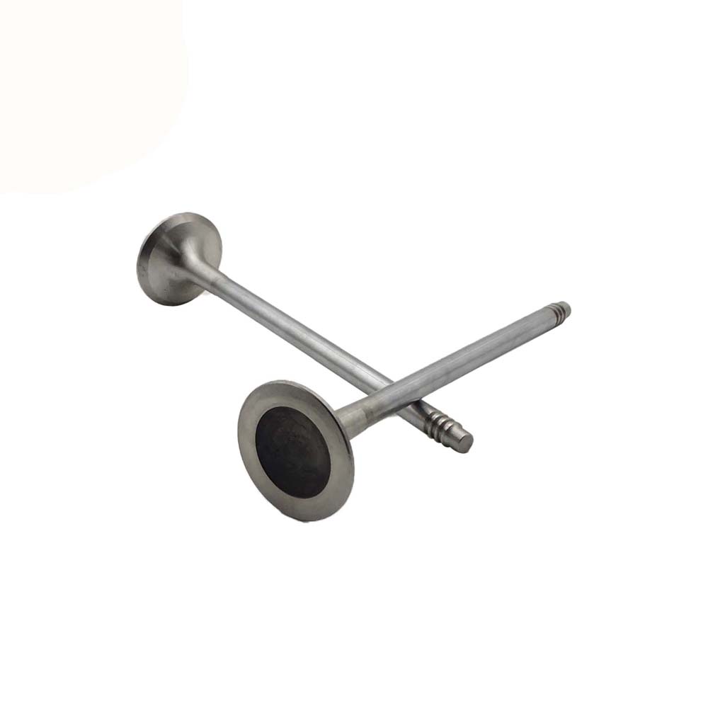 Exhaust Valve Apply to Bmw 3 E90 2005-2012(8PCS/Set)   OE  1134 7573 840
