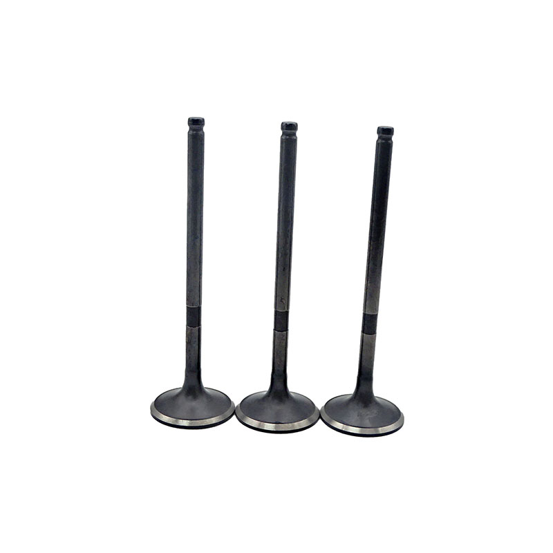 Suitable for Toyota Camry(2.4L) 2002-2011) Highlander(2.4L) 2002-2007 Solara(2.4L) 2002-2006 RAV4(2.4L) 2002-2005 Exhaust Valve （8PCS）