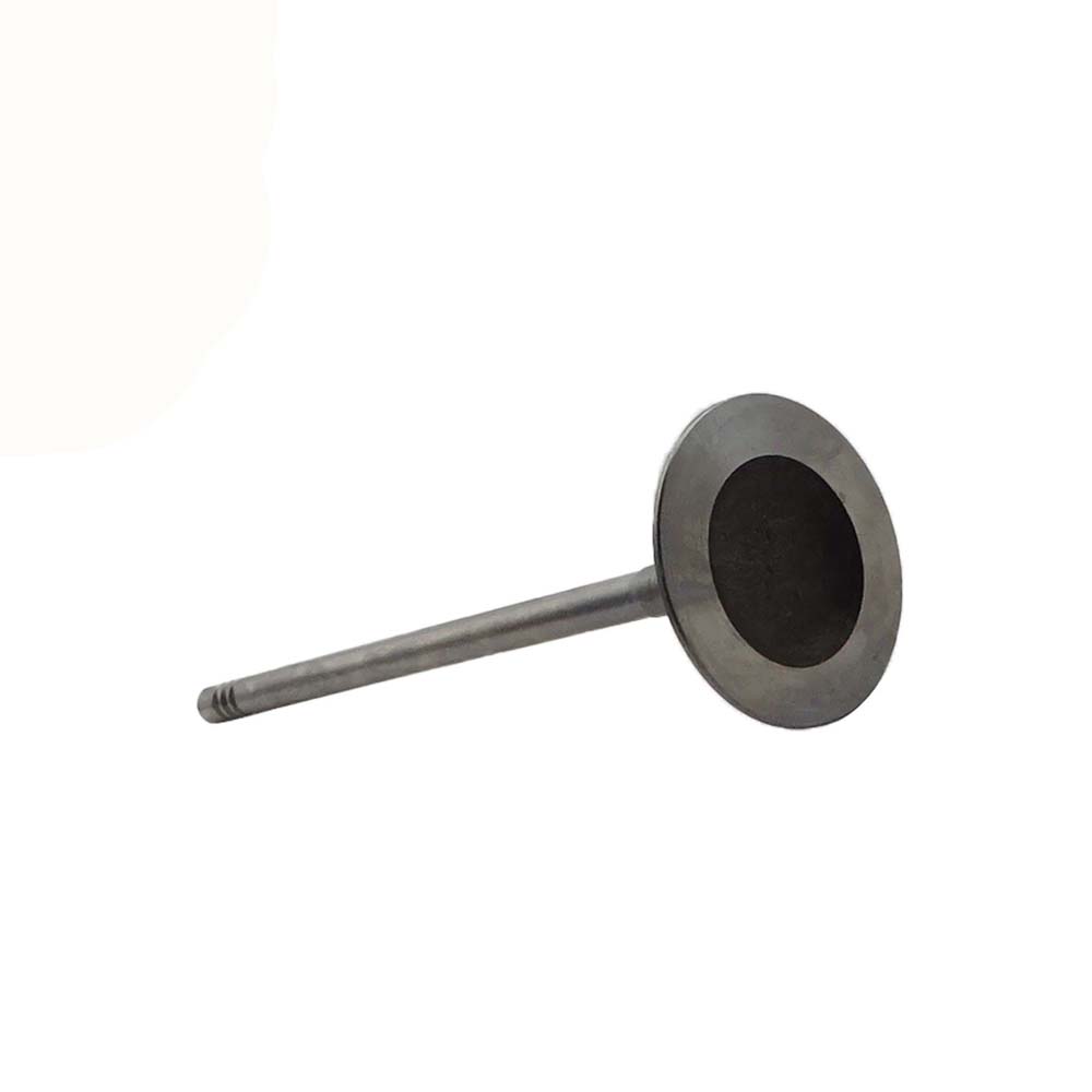 Intake Valve Apply to Bmw N52 B25 Engine(8PCS/Set)   OE  1134 7539 919