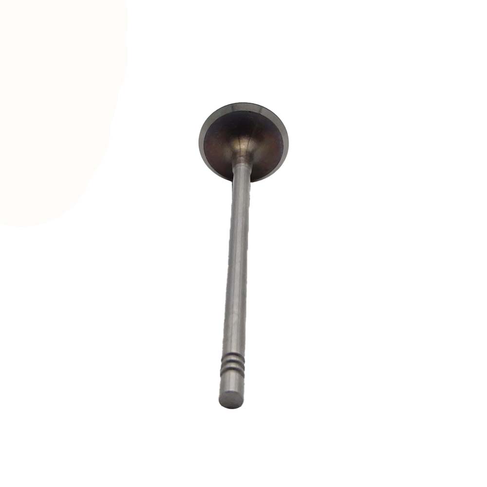 Intake Valve Apply to Bmw N14 Engine(8PCS/Set)   OE  1134 7534 508