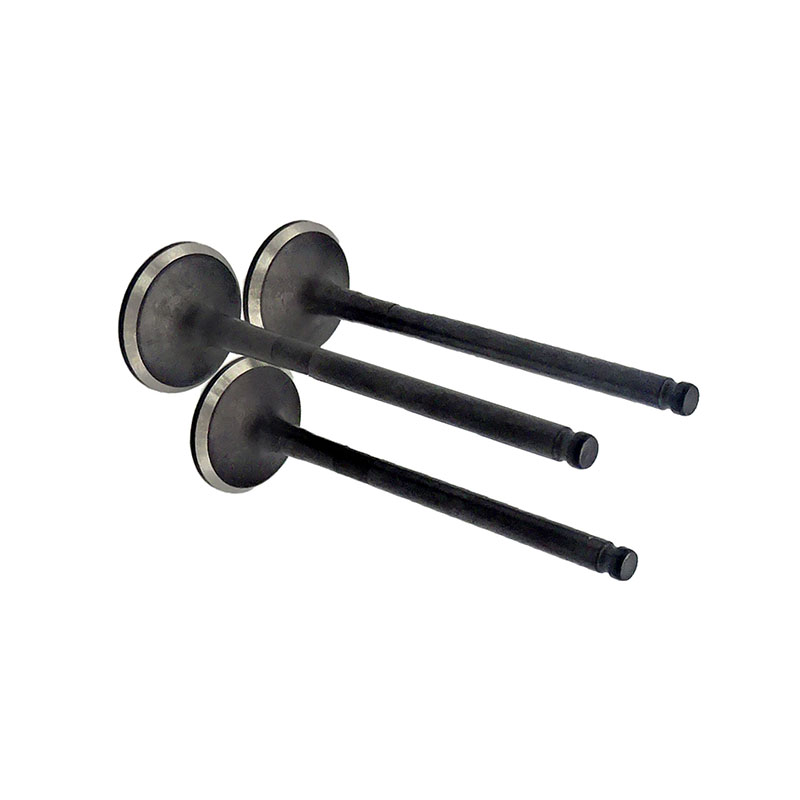 Suitable for Toyota Corolla(1.8L) 2001-2009 Avensis(1.8L) 2000-2008 RAV4(1.8L) 2000-2005 Exhaust Valve