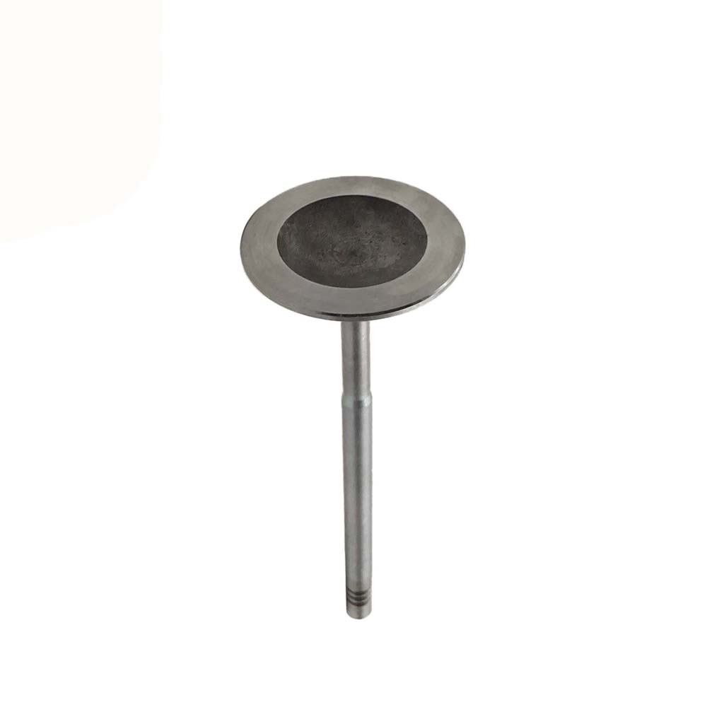 Intake Valve Apply to Benz W278 Engine(8PCS/Set)   OE  278 050 0126