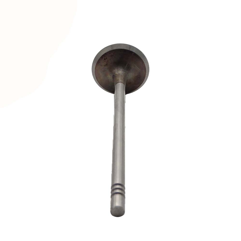 Intake Valve Apply to Bmw N13 Engine(8PCS/Set)   OE  1134 7585 901