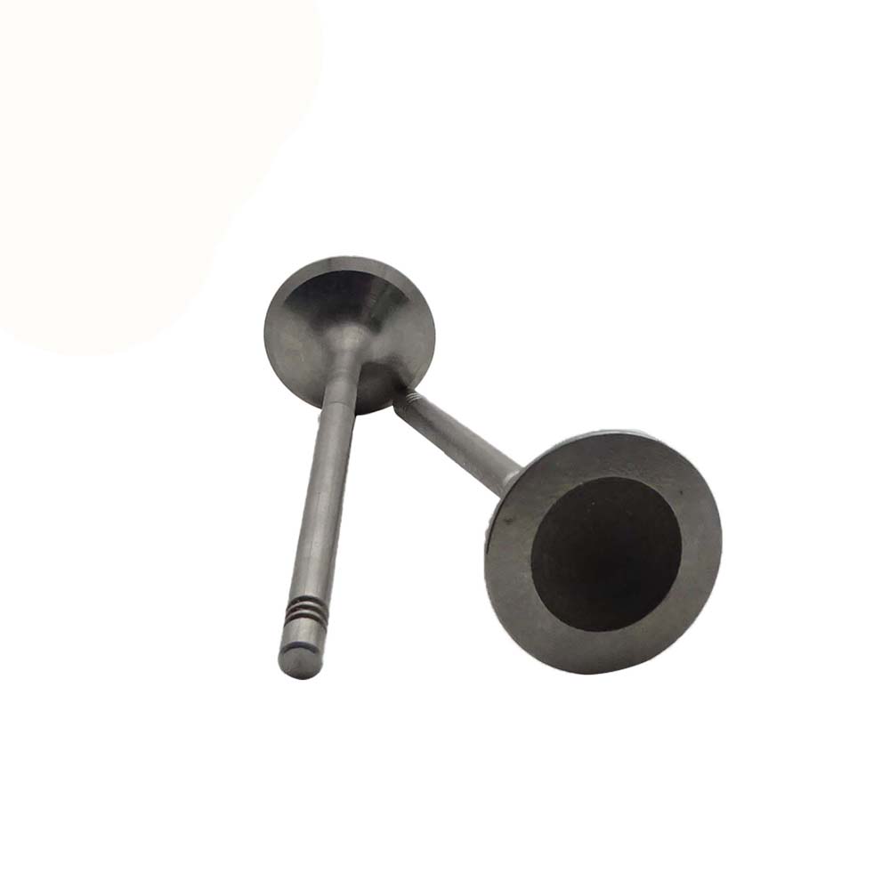 Intake Valve Apply to Benz W271(New) Engine(8PCS/Set)   OE  271 053 1001
