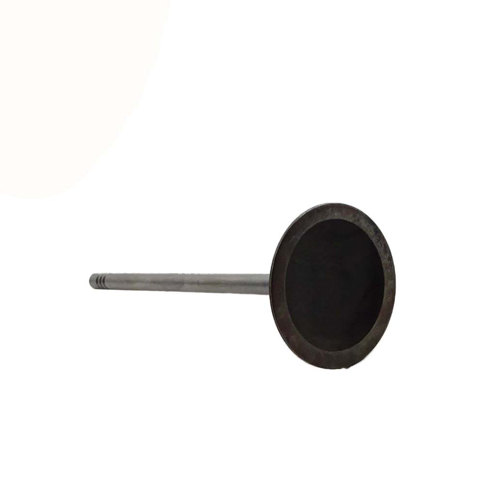Intake Valve Apply to Bmw N52 Engine(8PCS/Set)   OE  1134 7553 771