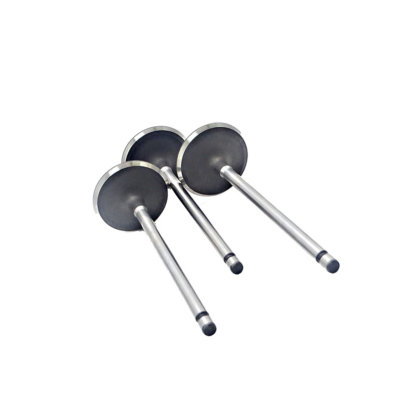 Suitable for Toyota Land Cruiser Prado(2TR 2.7L) 2004-2015 Intake Valve （8PCS）