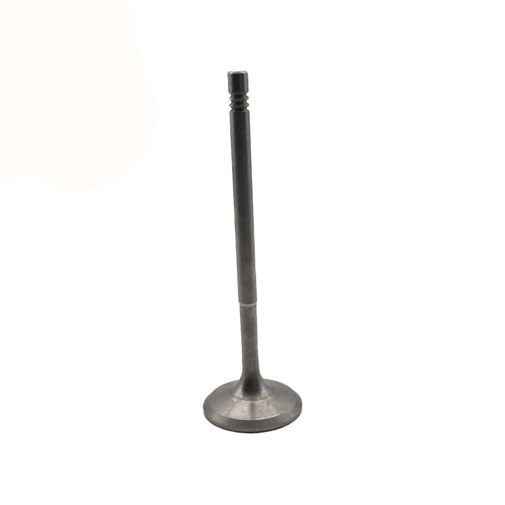 Intake Valve Apply to Benz W271(New) Engine(8PCS/Set)   OE  271 053 1001