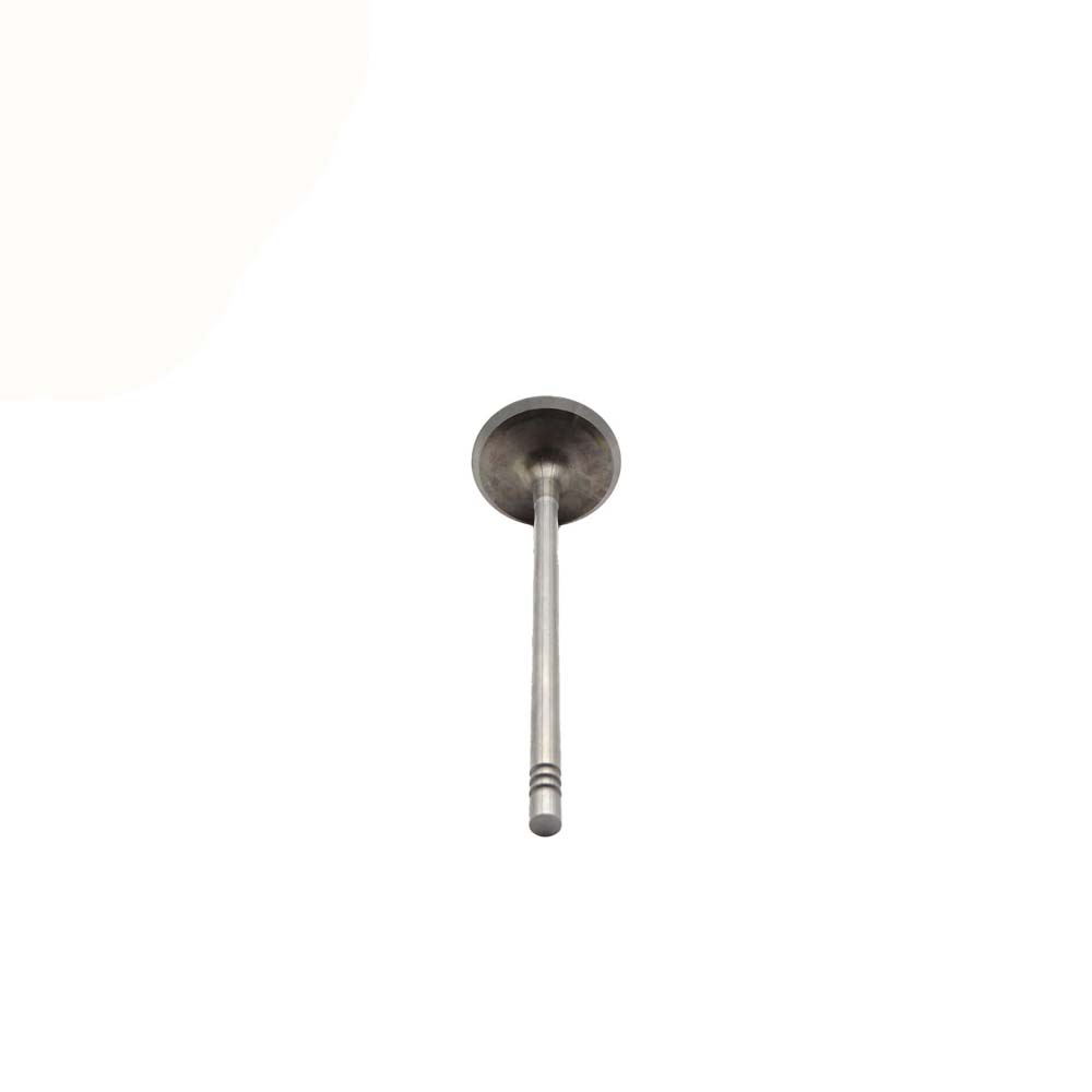 Intake Valve Apply to Bmw N52 Engine(8PCS/Set)   OE  1134 7553 771
