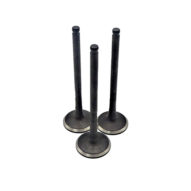 Suitable for Toyota Corolla(1.8L) 2001-2009 Avensis(1.8L) 2000-2008 RAV4(1.8L) 2000-2005 Exhaust Valve