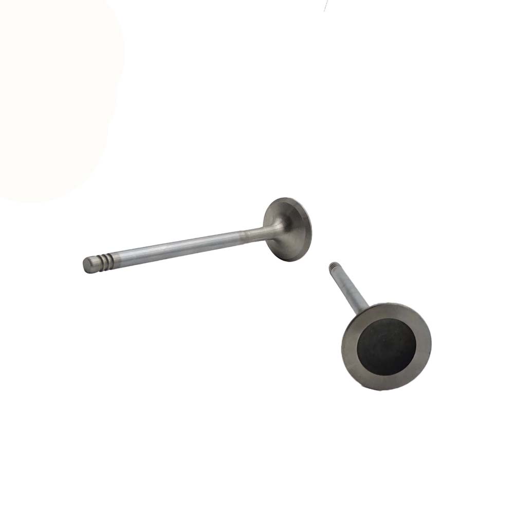 Exhaust Valve Apply to Bmw N46 Engine(8PCS/Set)   OE  1134 1707 519