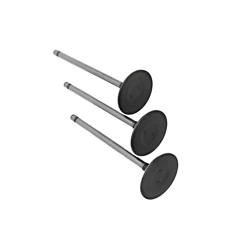 Suitable for Toyota Land Cruiser Prado(2TR 2.7L) 2004-2015 Intake Valve （8PCS）
