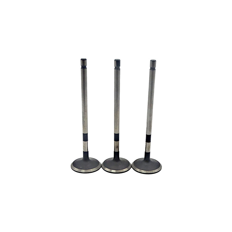 Suitable for Toyota Land Cruiser Prado(2TR 2.7L) 2004-2015 Exhaust Valve（8PCS）